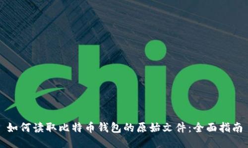 如何读取比特币钱包的原始文件：全面指南