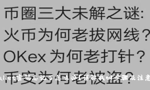 TPWallet密码忘记了怎么办？详解找回步骤及注意事项