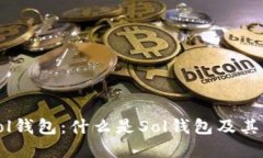 深入了解Sol钱包：什么是