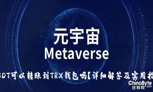 USDT可以转账到TRX钱包吗？详细解答及实用指南