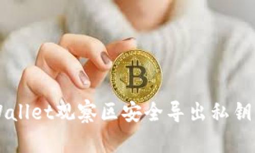 如何在TP Wallet观察区安全导出私钥？全方位指南