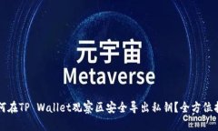 如何在TP Wallet观察区安全导出私钥？全方位指南