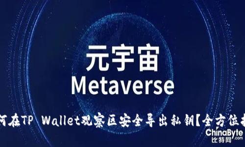 如何在TP Wallet观察区安全导出私钥？全方位指南