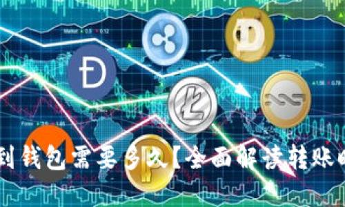币安提比特币到钱包需要多久？全面解读转账时间及影响因素