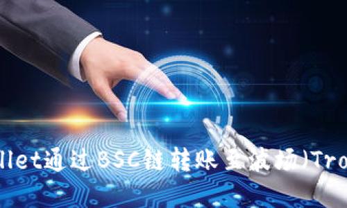如何在TPWallet通过BSC链转账至波场（Tron）：详细指南