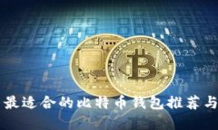 苹果用户最适合的比特币