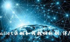 TP Wallet误删如何找回私钥