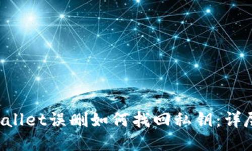 TP Wallet误删如何找回私钥：详尽指南