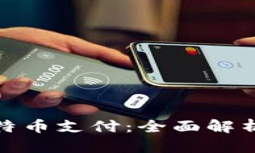 数字钱包与比特币支付：全面解析及支持的选择