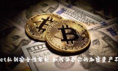 TPWallet私钥安全性分析：如何保护你的加密资产不