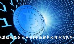 比特币钱包存放的是什么币种？全面解析比特币
