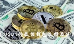安全充USDT的最佳钱包选择及使用指南