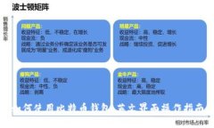 如何使用比特币钱包：英文界面操作指南