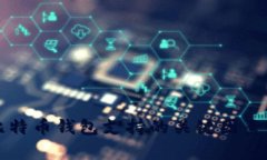 全面解析比特币钱包支持的关键因素及选择指南