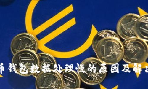 比特币钱包数据处理慢的原因及解决方案