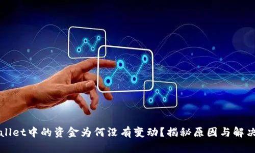 TPWallet中的资金为何没有变动？揭秘原因与解决方案