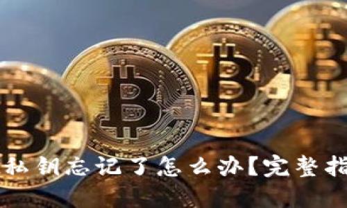TPWallet私钥忘记了怎么办？完整指南与技巧