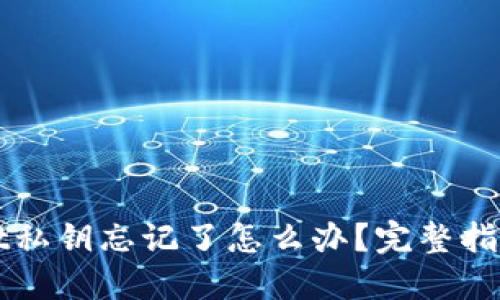 TPWallet私钥忘记了怎么办？完整指南与技巧
