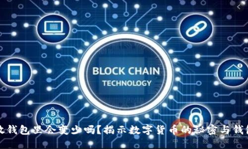 比特币放钱包里会变少吗？揭示数字货币的秘密与钱包安全性