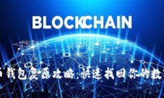比特币钱包复原攻略：快
