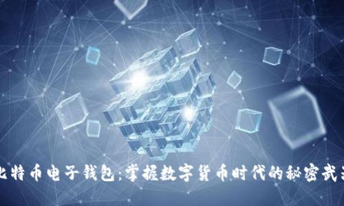 比特币电子钱包：掌握数字货币时代的秘密武器