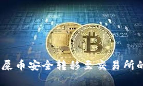 完美指南：将屎币安全转移至交易所的步骤与技巧