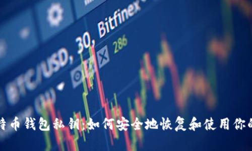 捡到了比特币钱包私钥：如何安全地恢复和使用你的数字资产