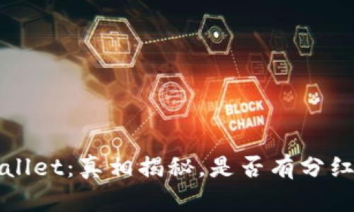 TP Wallet：真相揭秘，是否有分红机制？