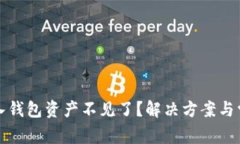 tpwallet导入钱包资产不见了？解决方案与常见问题
