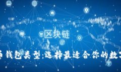全面解析比特币钱包类型：选择最适合你的数字
