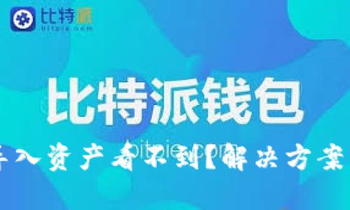 TPWallet导入资产看不到？解决方案与操作指南