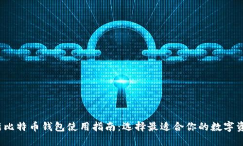 2023年最新比特币钱包使用指南：选择最适合你的数字资产管理工具