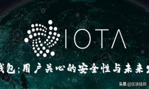 小狐狸钱包：用户关心的安全性与未来发展探讨