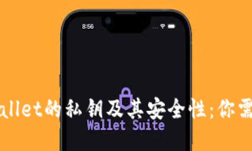 深入了解TPWallet的私钥及其安全性：你需要知道的一切