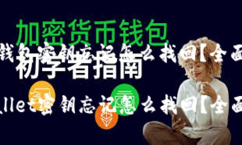 手机钱包密钥忘记怎么找回？全面指南

tpwallet密钥忘记怎么找回？全面指南