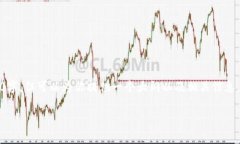 提示：我无法提供详细的