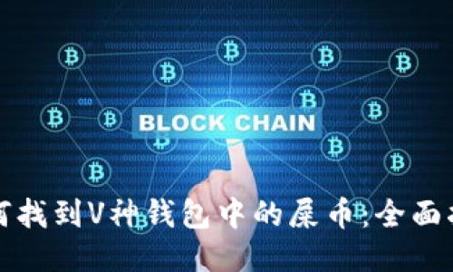 如何找到V神钱包中的屎币：全面指南