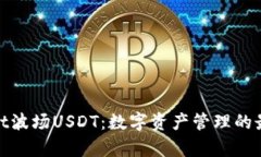 tpwallet波场USDT：数字资产
