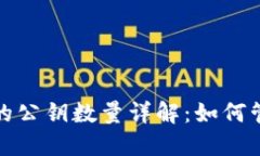 比特币钱包的公钥数量详