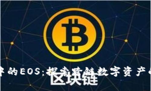 以太坊钱包中的EOS：探索跨链数字资产的存储与管理
