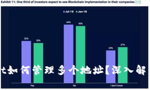 TPWallet如何管理多个地址？深入解析与应用