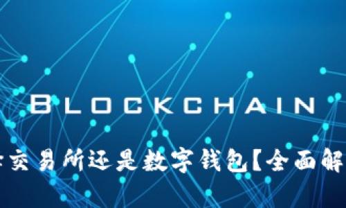 : 买UNI：选择交易所还是数字钱包？全面解析与购买指南