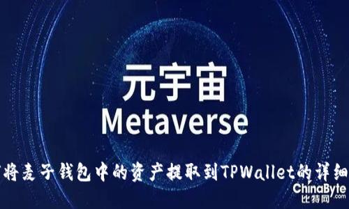 如何将麦子钱包中的资产提取到TPWallet的详细指导