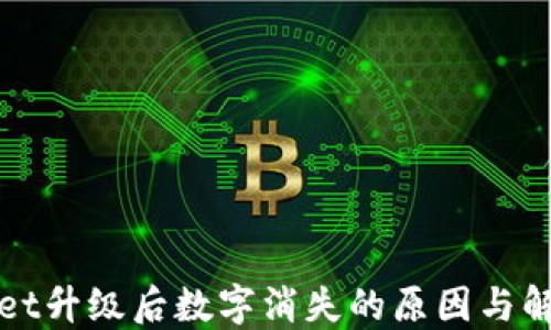 
TPWallet升级后数字消失的原因与解决方案